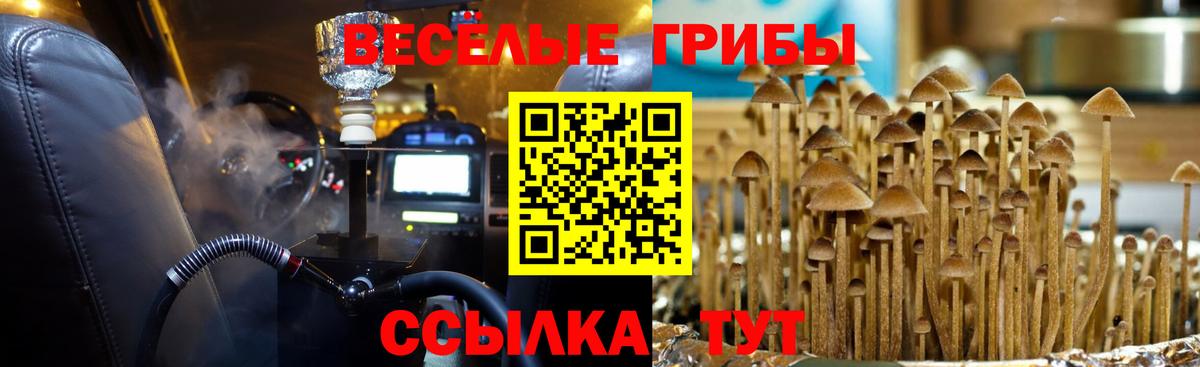 Галлюциногенные грибы прущие грибы  даркнет сайт  Людиново  Псилоцибиновые грибы Magic Shrooms  Вход с VPN 